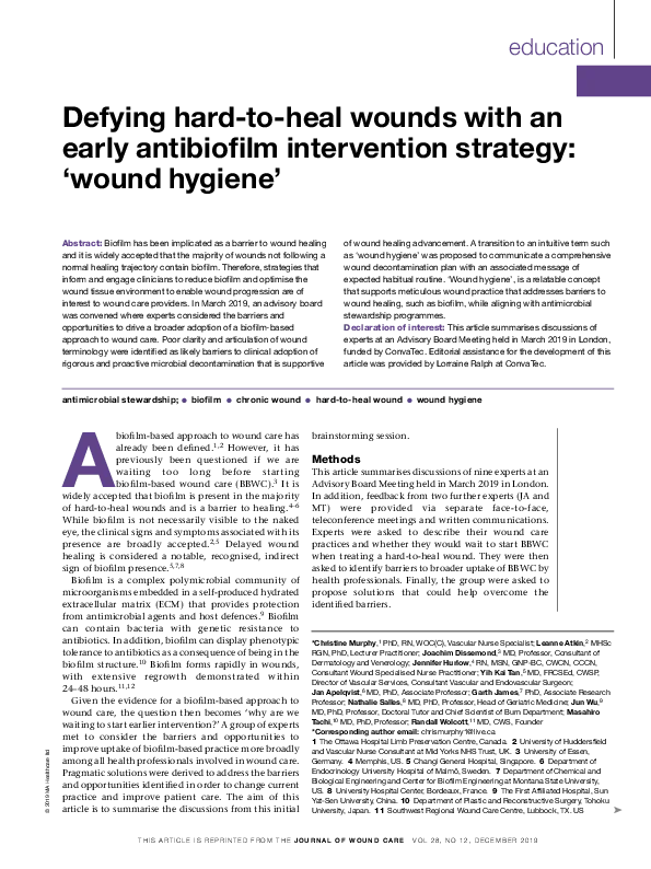 Bild der ersten Seite des Wound Hygiene Expert Opinion Artikels.